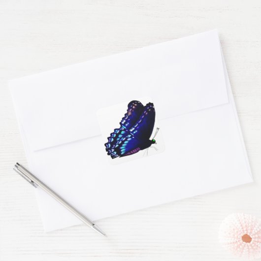 Umschlag Aufkleber (Umschlag)