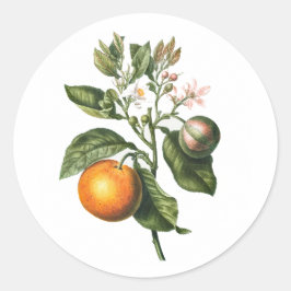 UMSCHLAG AUFKLEBER STICKER : BITTERORANGE BLOSSOM