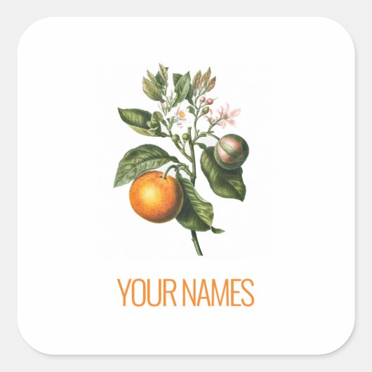 UMSCHLAG AUFKLEBER STICKER : BITTERORANGE BLOSSOM (Vorderseite)