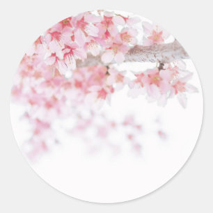 UMSCHLAG AUFKLEBER STICKER : CHERRY BLOSSOM