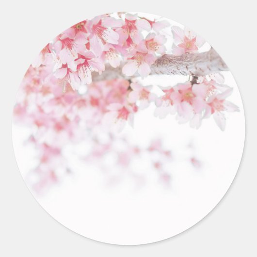 UMSCHLAG AUFKLEBER STICKER : CHERRY BLOSSOM (Vorderseite)