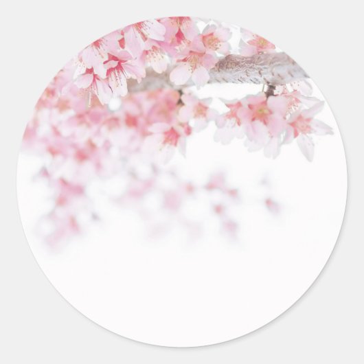 UMSCHLAG AUFKLEBER STICKER : CHERRY BLOSSOM (Vorderseite)