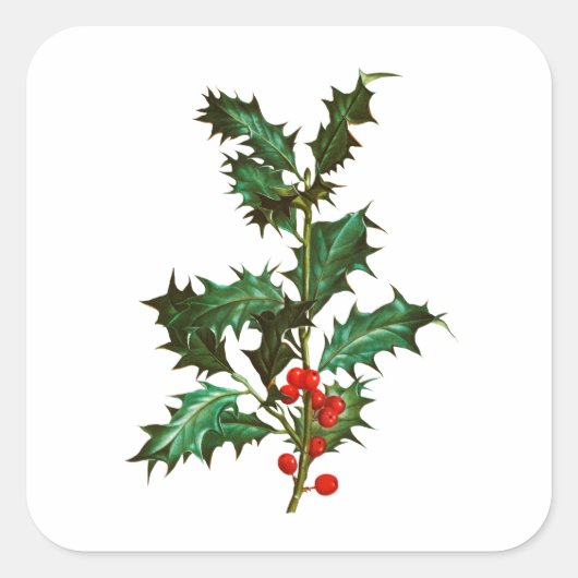 UMSCHLAG AUFKLEBER STICKER : VINTAGE CHRISTMAS HOL (Vorderseite)