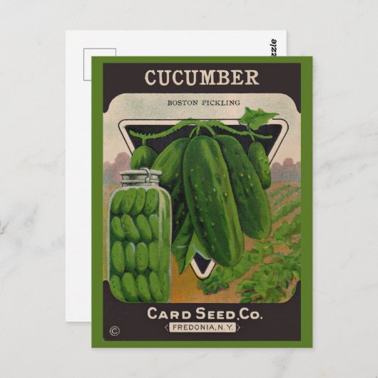 Umschlag für Gurkensamen der 1950er Jahre Postkarte (Vorne/Hinten)