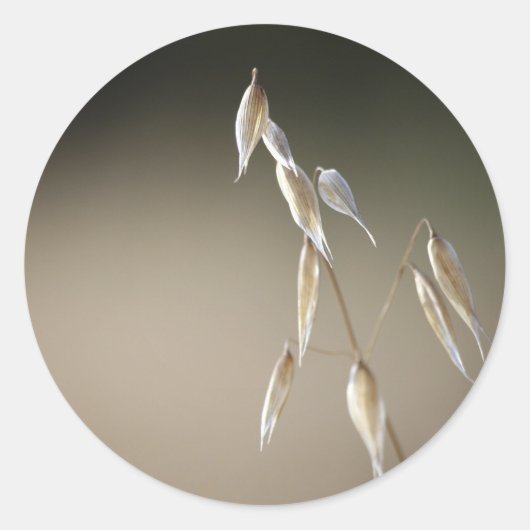 Umschlag für Obst und Wild Hafer Runder Aufkleber (Vorderseite)