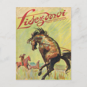Umschlag, Lies-Mich, Cowboy, Rodeopferd Postkarte