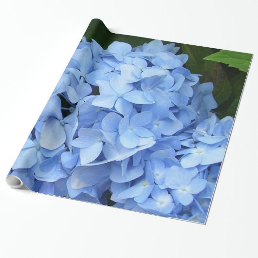 Umschlagpapier - Blue Hydrangea Geschenkpapier (Ungerollt)
