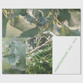 Umschlagpapier/MMETROPOLIMdesign Geschenkpapier