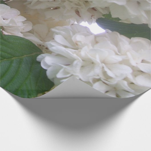 Umschlagpapier - Weißes Hydrangea Geschenkpapier (Ecke)