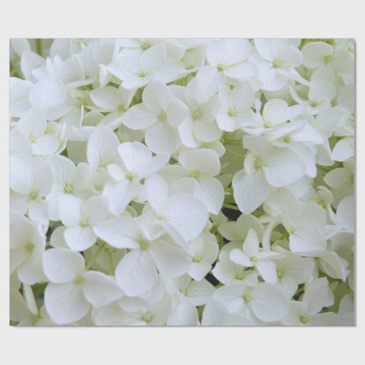 Umschlagpapier - Weißes Hydrangea Geschenkpapier (Flach)