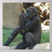 Umsichtige Gorilla Posters Poster (Vorne)