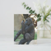 Umsichtige Gorilla Postkarte (Stehend Vorderseite)