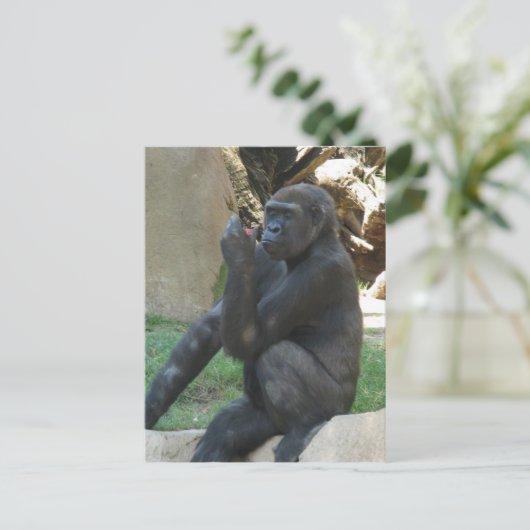 Umsichtige Gorilla Postkarte (Stehend Vorderseite)