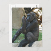 Umsichtige Gorilla Postkarte (Vorne/Hinten)