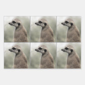 Umsichtige Papierblätter aus Meerkat Geschenkpapier Set (Vorderseite)