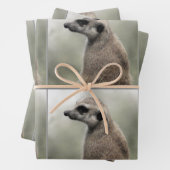 Umsichtige Papierblätter aus Meerkat Geschenkpapier Set (Beispiel)