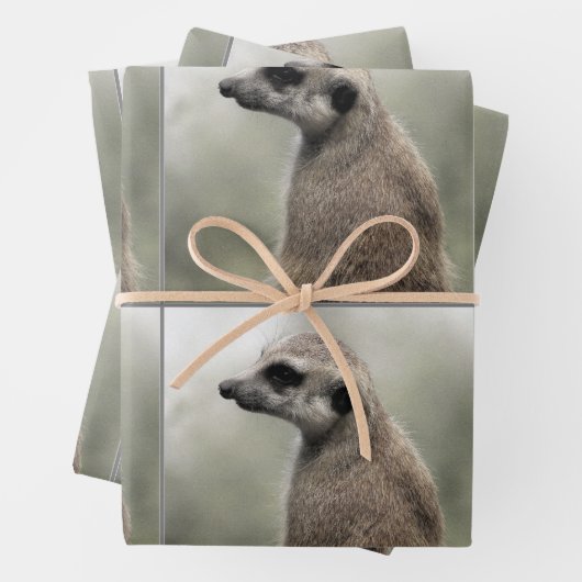 Umsichtige Papierblätter aus Meerkat Geschenkpapier Set (Beispiel)