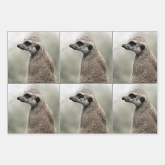 Umsichtige Papierblätter aus Meerkat Geschenkpapier Set (Vorderseite 3)