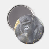 Umsichtiger Gorilla Magnet (Vorderseite/Rückseite)
