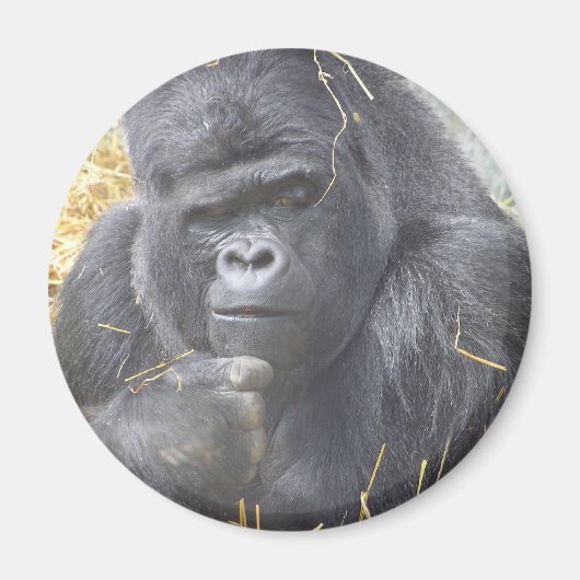 Umsichtiger Gorilla Magnet (Vorne)
