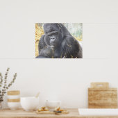 Umsichtiges Gorilla Poster (Küche)