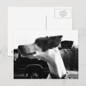 Umso besser, dich zu hören postkarte (Vorne/Hinten)