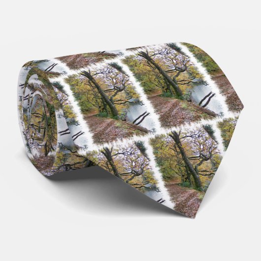 UMSTÄNDE KRAWATTE (Gerollt)