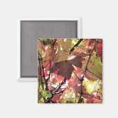 UMSTÄNDE MAGNET (Vorderseite/Rückseite)