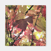 UMSTÄNDE MAGNET (Vorne)