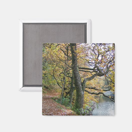 UMSTÄNDE MAGNET (Vorderseite/Rückseite)