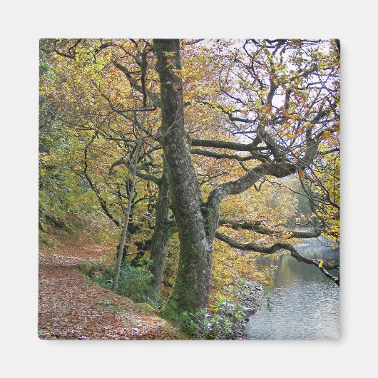 UMSTÄNDE MAGNET (Vorne)