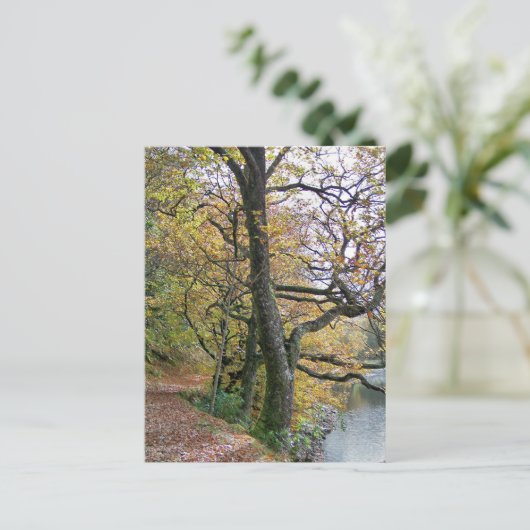 UMSTÄNDE POSTKARTE (Stehend Vorderseite)