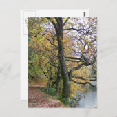 UMSTÄNDE POSTKARTE (Vorne/Hinten)