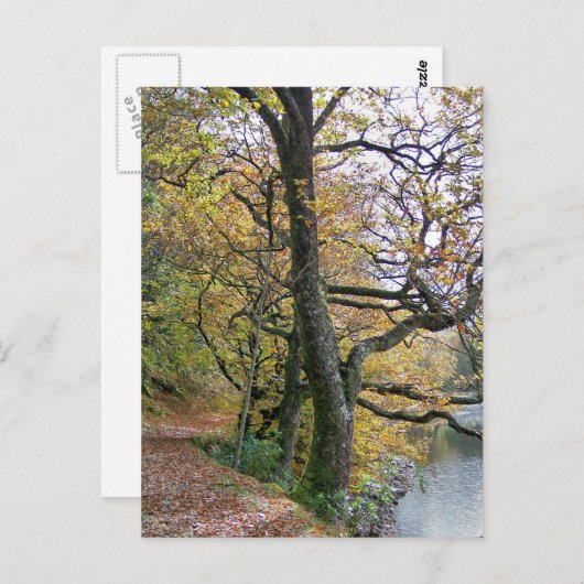 UMSTÄNDE POSTKARTE (Vorne/Hinten)