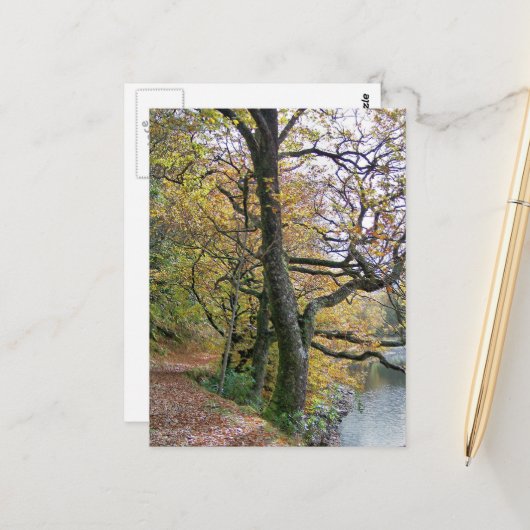 UMSTÄNDE POSTKARTE (Vorderseite/Rückseite Beispiel)