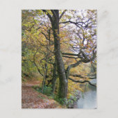 UMSTÄNDE POSTKARTE (Vorderseite)