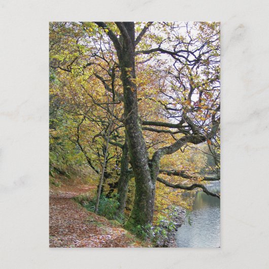 UMSTÄNDE POSTKARTE (Vorderseite)