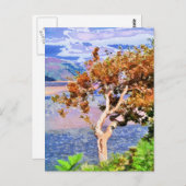 UMSTÄNDE POSTKARTE (Vorne/Hinten)