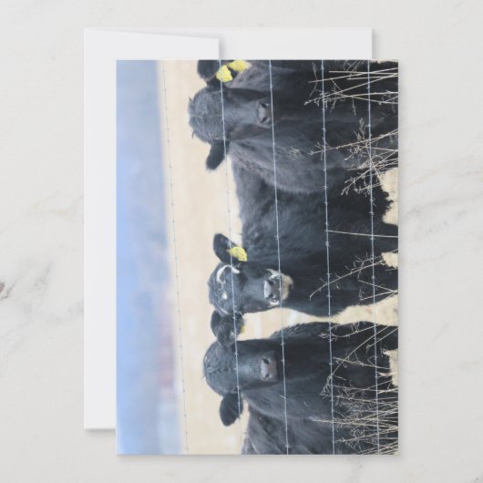 Umstehende Einladung (Vorderseite)