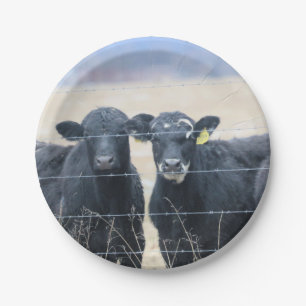 Umstehende Pappteller