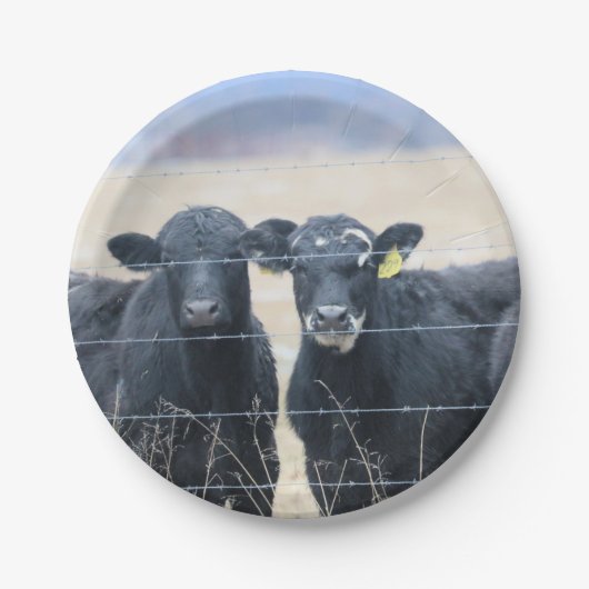 Umstehende Pappteller (Vorderseite)