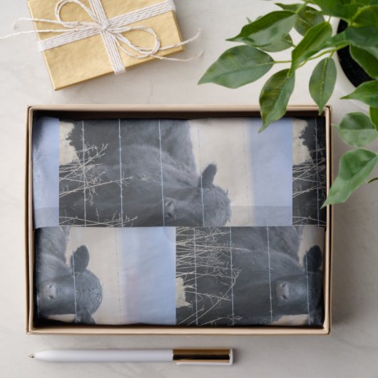 Umstehende Seidenpapier (Geschenk)