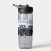 Umstehende Trinkflasche (Rechts)