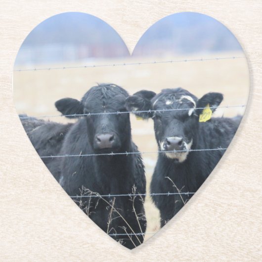 Umstehende Untersetzer (Vorderseite)