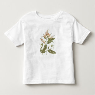 Umtar (Buddleia polystachya) (w/c über Graphit an Kleinkind T-shirt