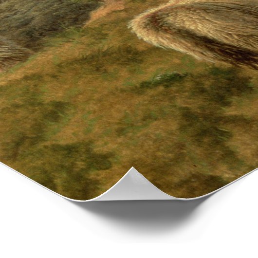 Umverteilung Poster (Ecke)