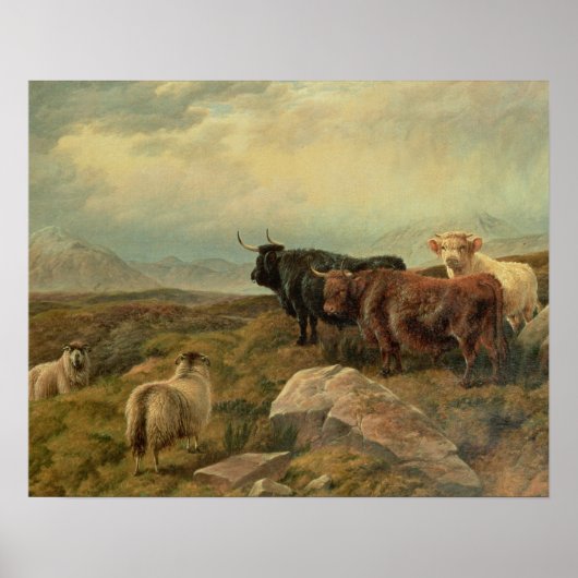 Umverteilung Poster (Vorne)