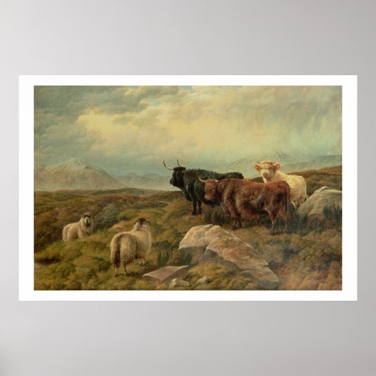 Umverteilung Poster (Vorne)