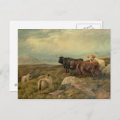 Umverteilung Postkarte (Vorne/Hinten)