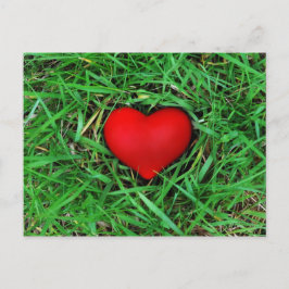 Umweltfreundliche Liebe - Postkarte
